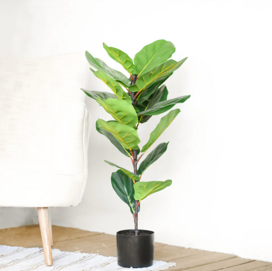 Small Fiddle Leaf Tree, The Feathered Farmhouse