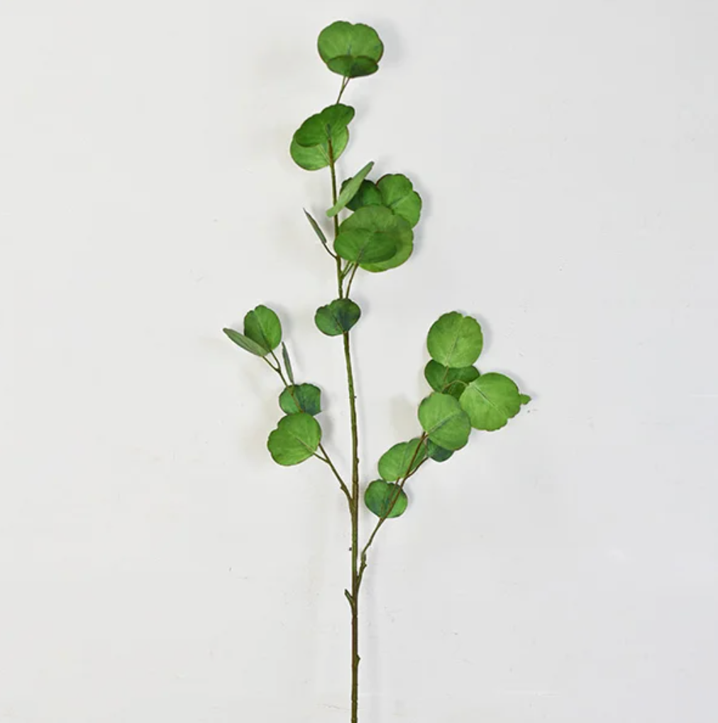 Face Eucalyptus, The Feathered Farmhouse