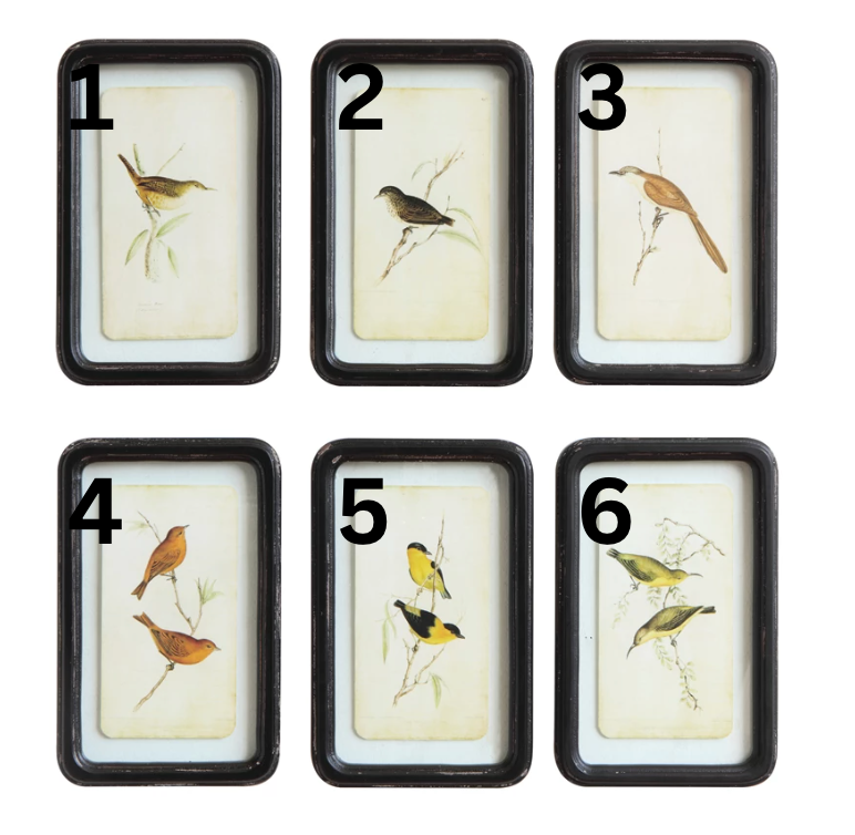 Bird Wall Decor