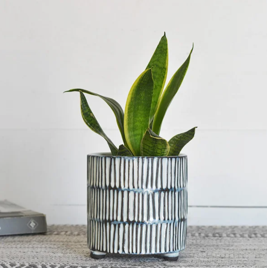 Black + White Stripe Planter, The Feathered Farmhouse