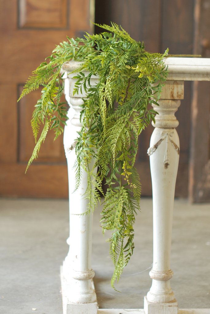 Hanging Deer Fern