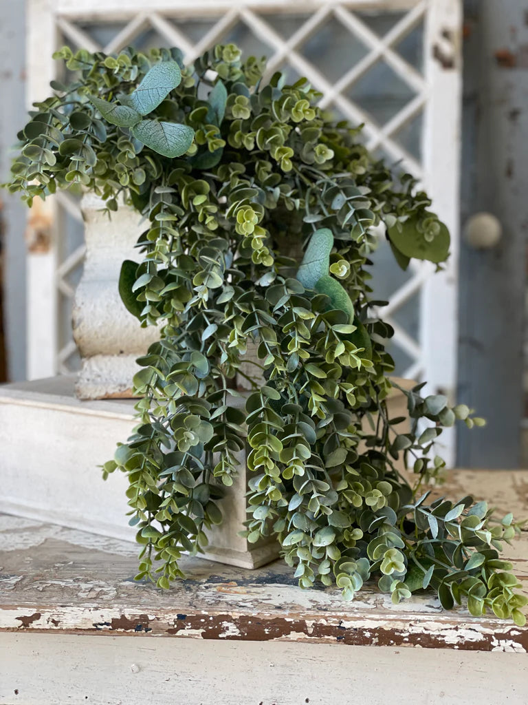 Eucalyptus Hanging, The Feathered Farmhouse