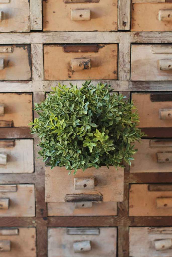 New England Boxwood Orb