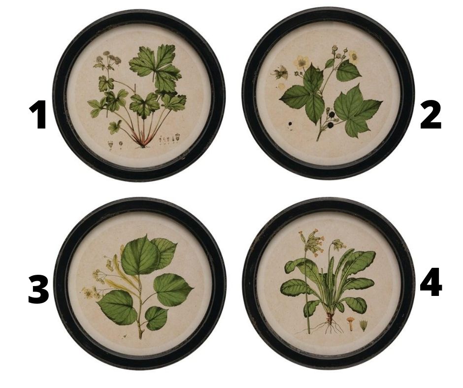 Round Vintage Botanical Prints