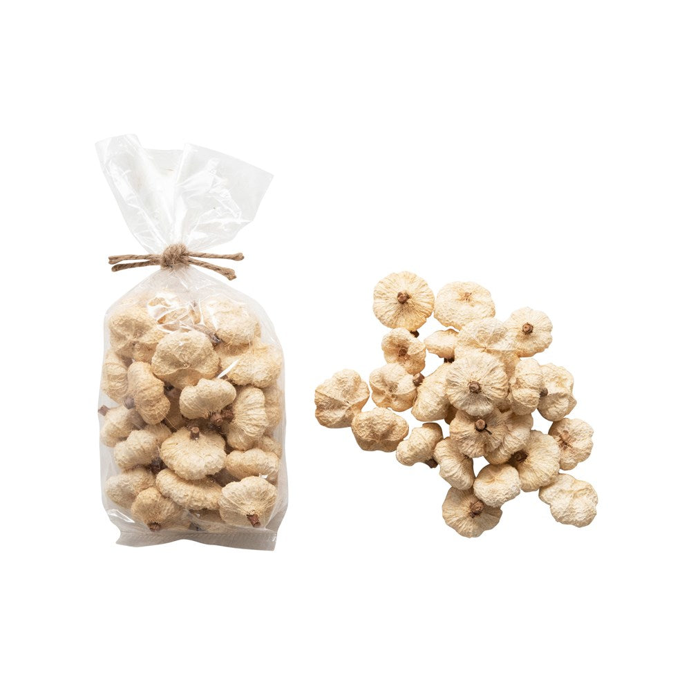 Dried Natural Peepal Pumpkin Pods