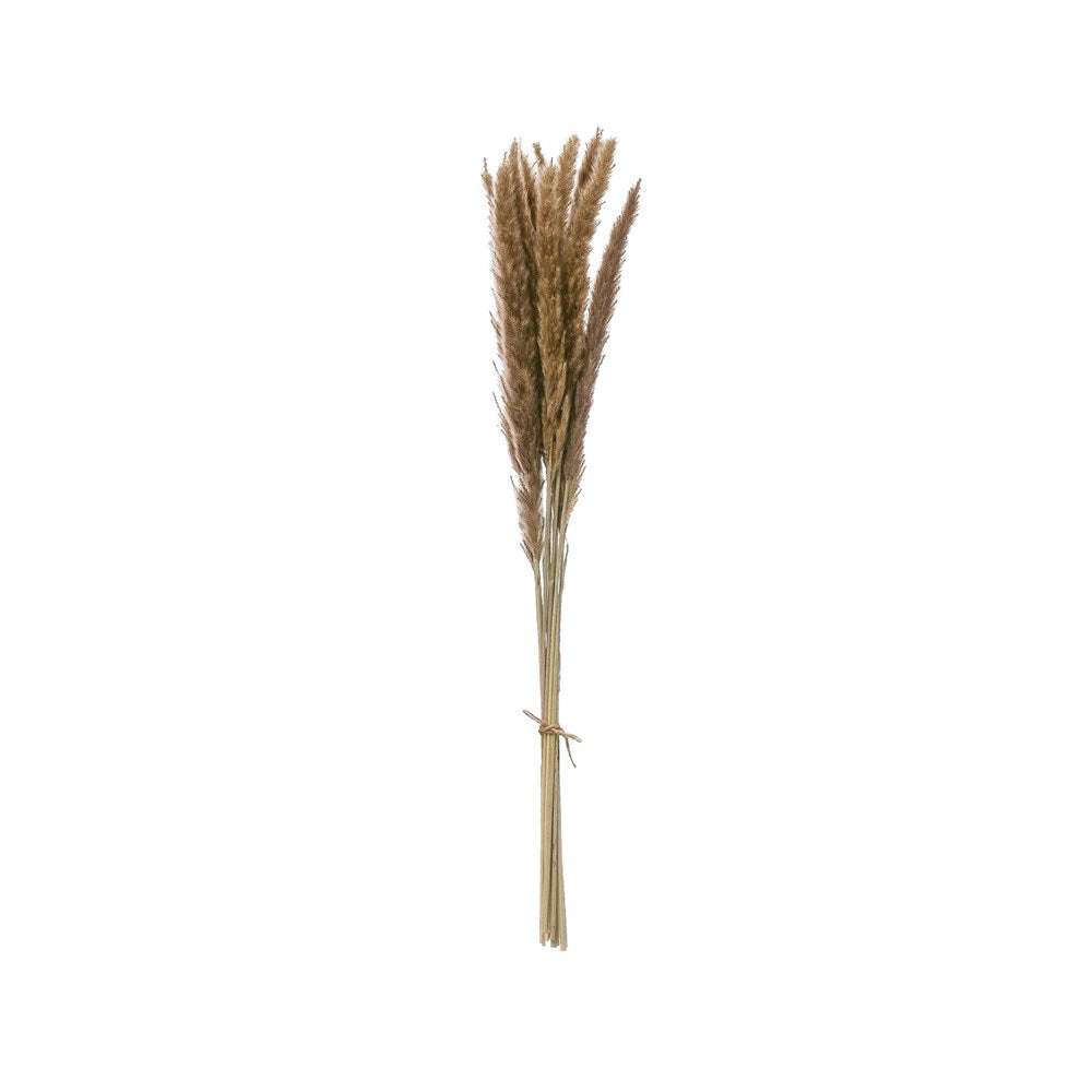 Fountain Grass Bunch, The Feathered Farmhouse