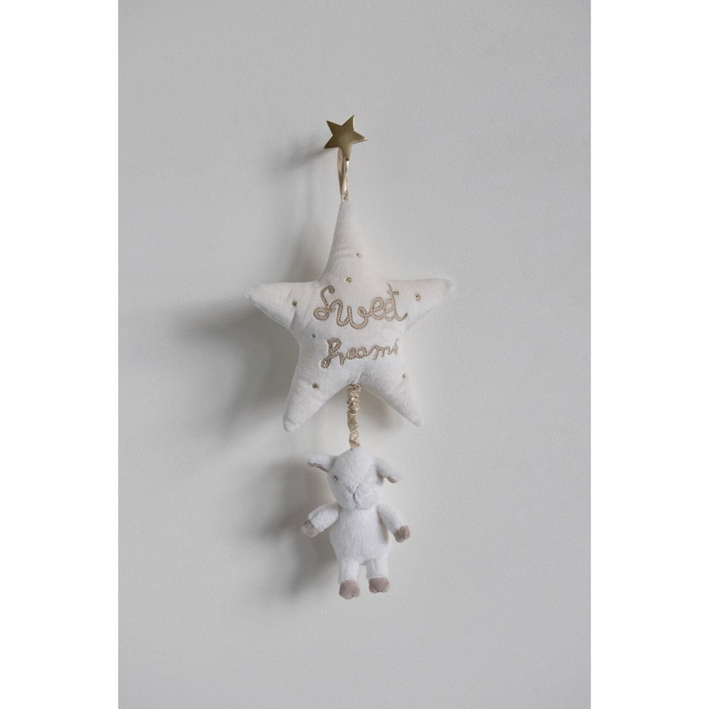 Sweet Dreams Pull Toy