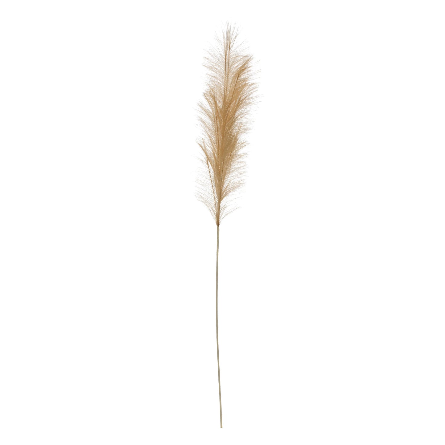 bristlegrass, feathered farmhouse