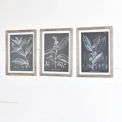 black & white leafy prints, the feathered farmhouse