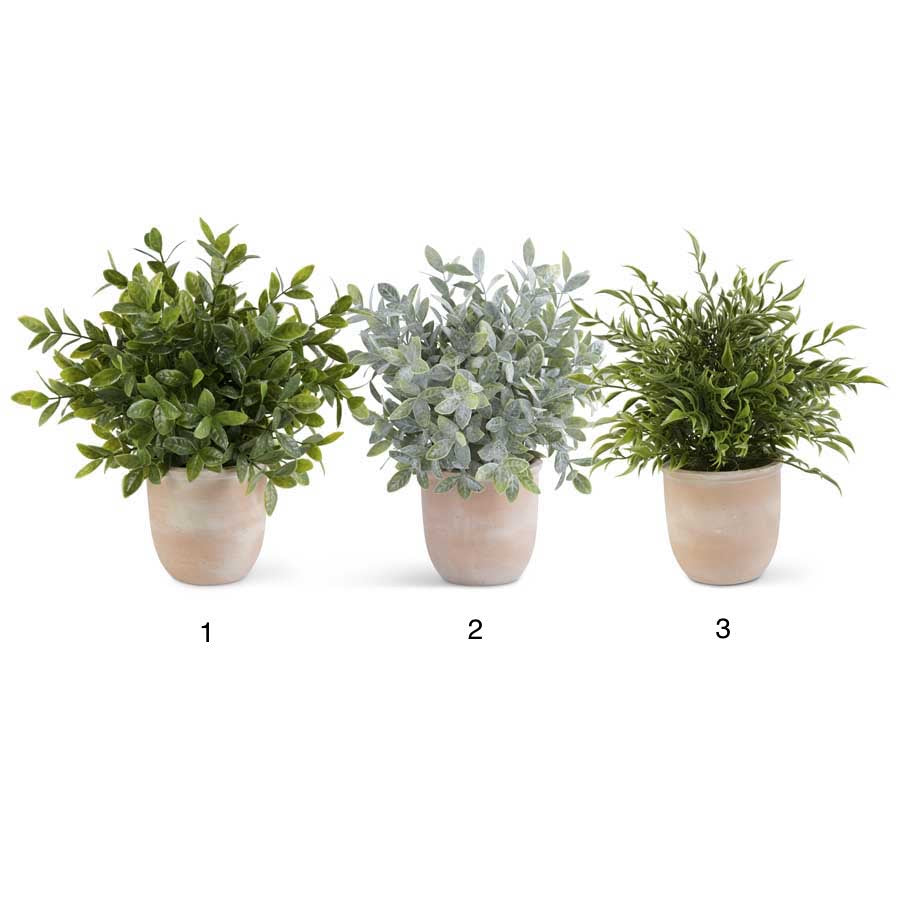 Terra Cotta Pot Herbs