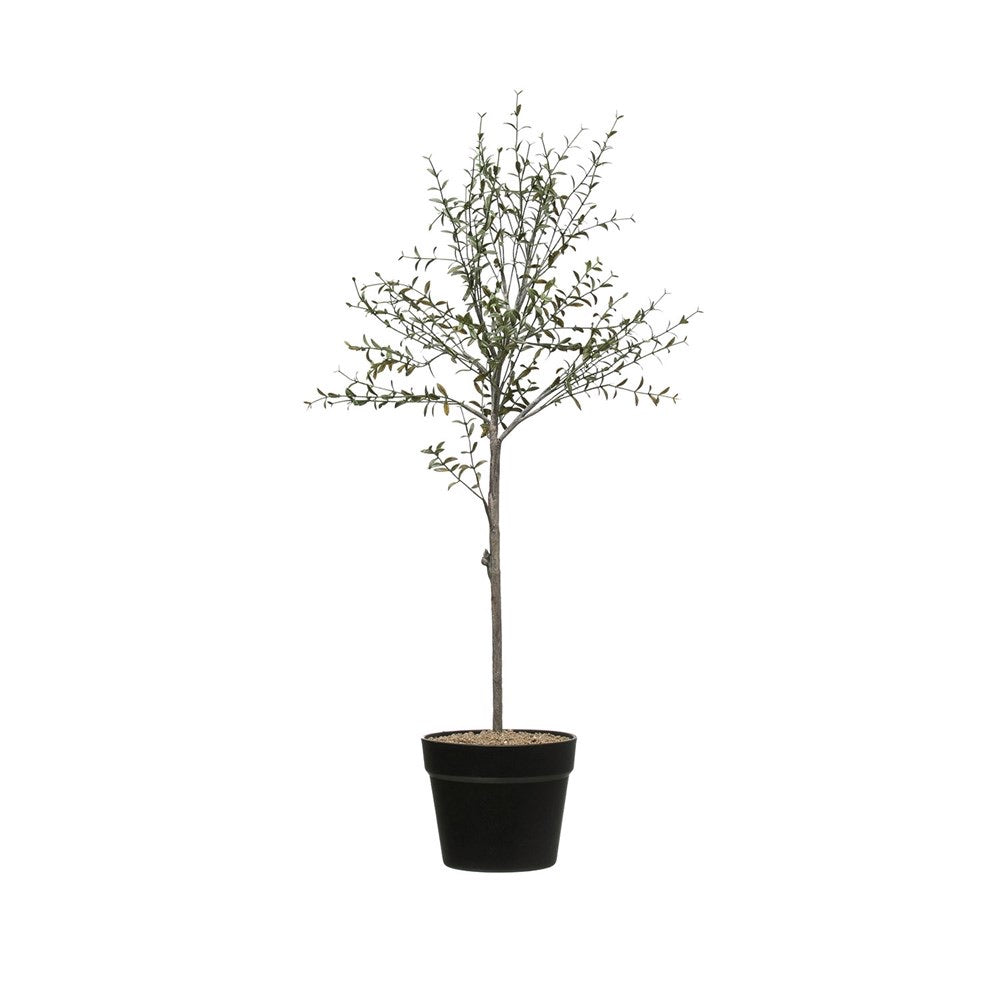 Thyme Topiary