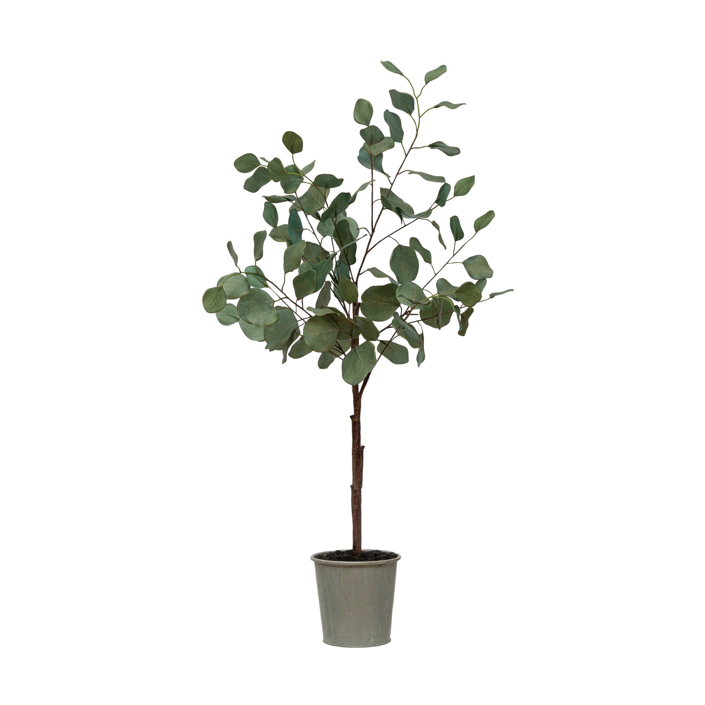 faux eucalyptus tree in pot, feathered farmhouse