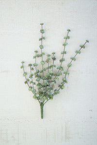 Succulent Bush, The Feathered Farmhouse