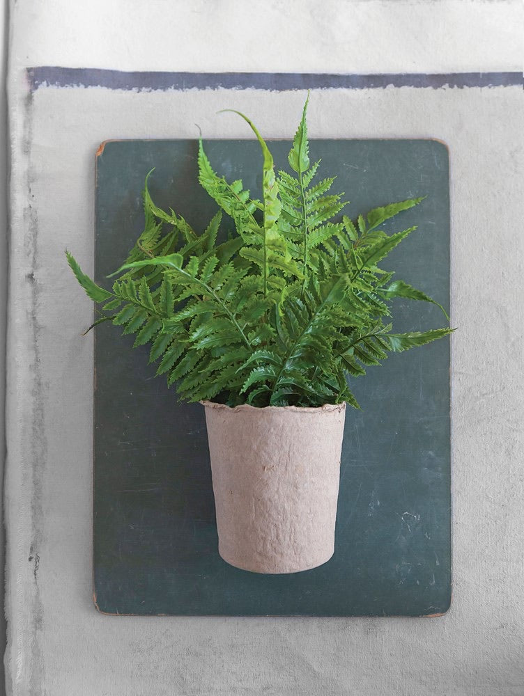 Faux Fern