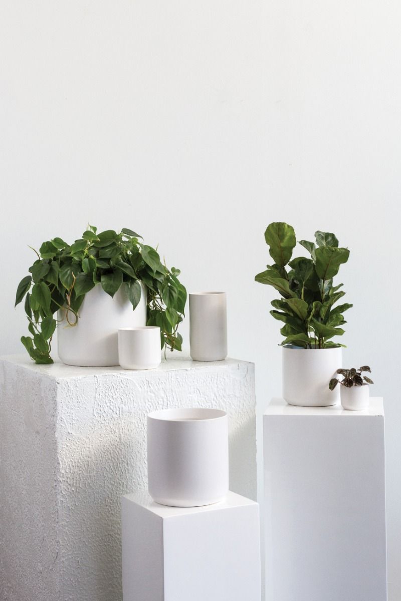 Kendall Pot, The Feathered Farmhouse