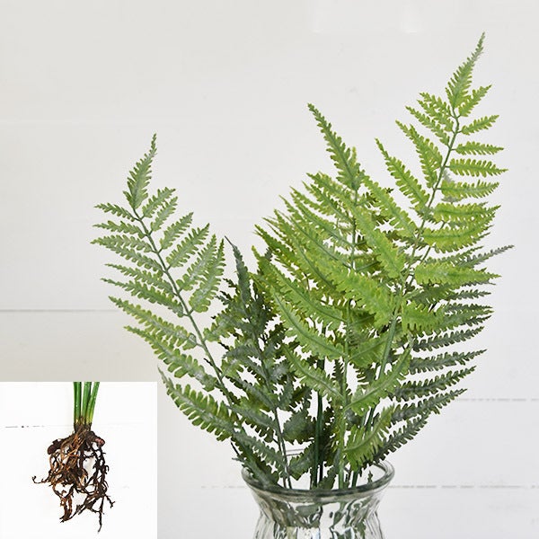 Athyrium Leaf, The Feathered Farmhouse
