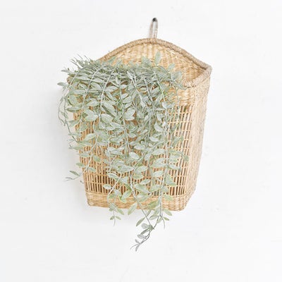 Frosted Hanging Plant Feathered Farmhouse