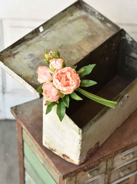 Peony Bundle, The Feathered Farmhouse
