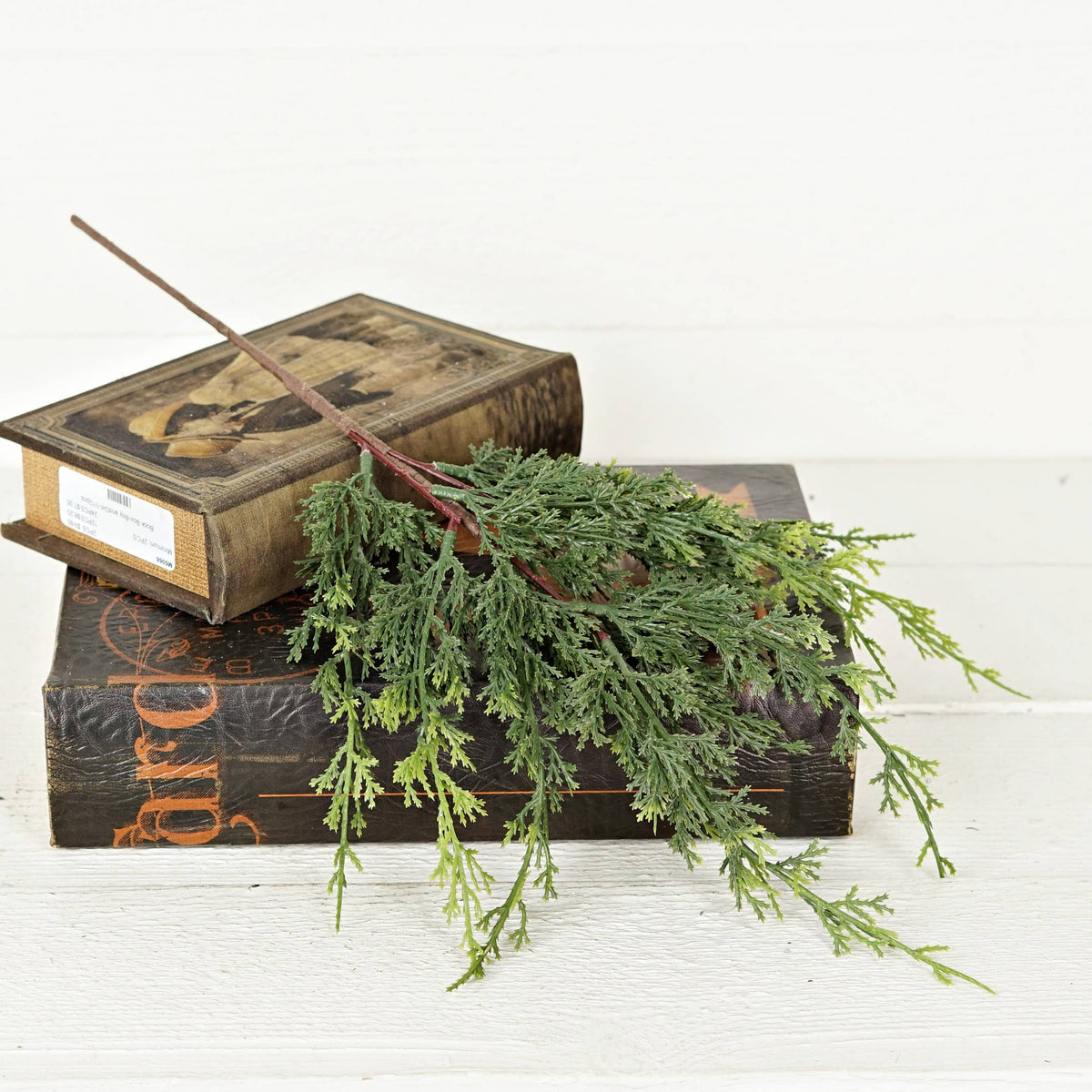 Mixed Green Cypress Pine Stem, Feathered Farmhouse