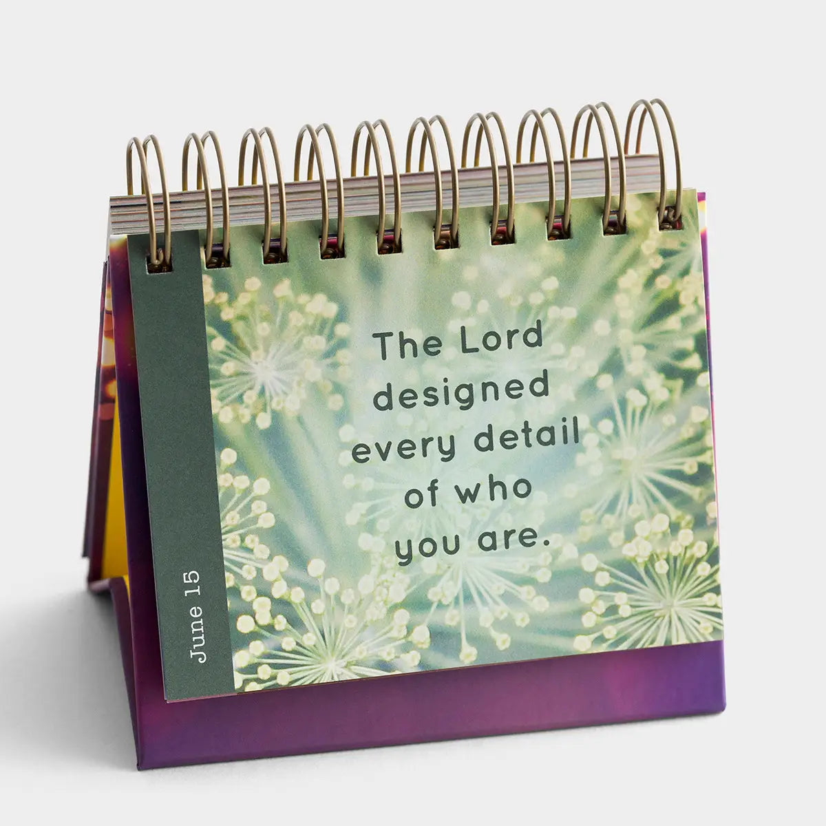Shine Bright Every Day Calendar, Feathered Farmhouse