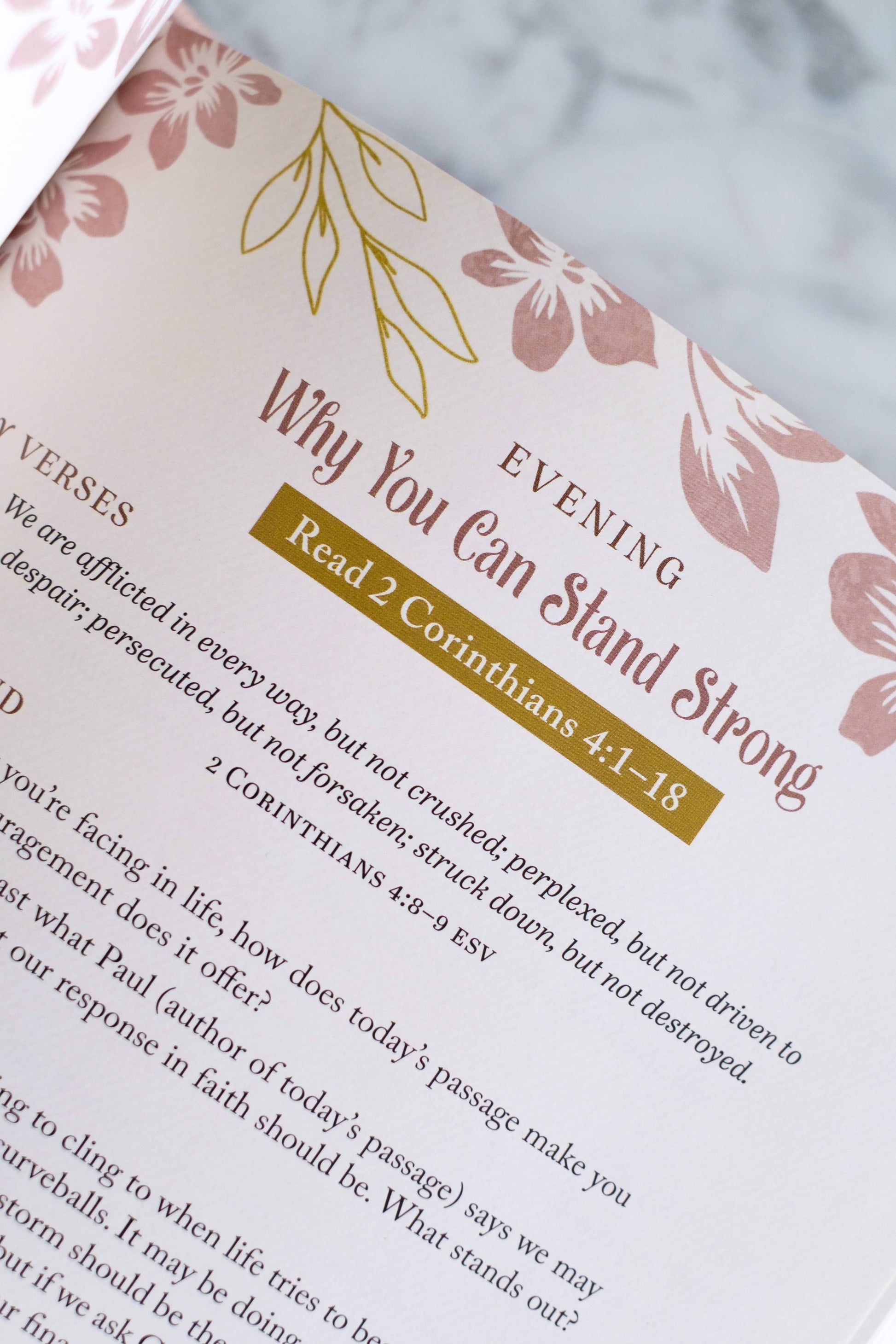 The 5-Minute Bible Study for Women, Feathered Farmhouse