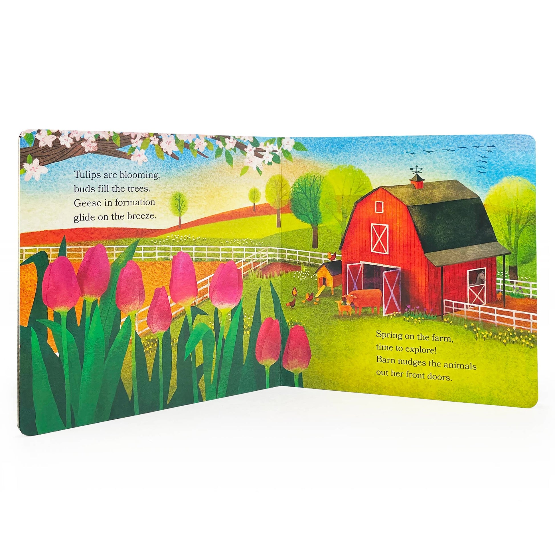 Barn in Spring: Out to Explore on the Farm Board Book, The Feathered Farmhouse