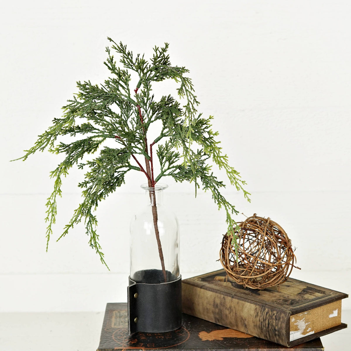 Mixed Green Cypress Pine Stem, Feathered Farmhouse