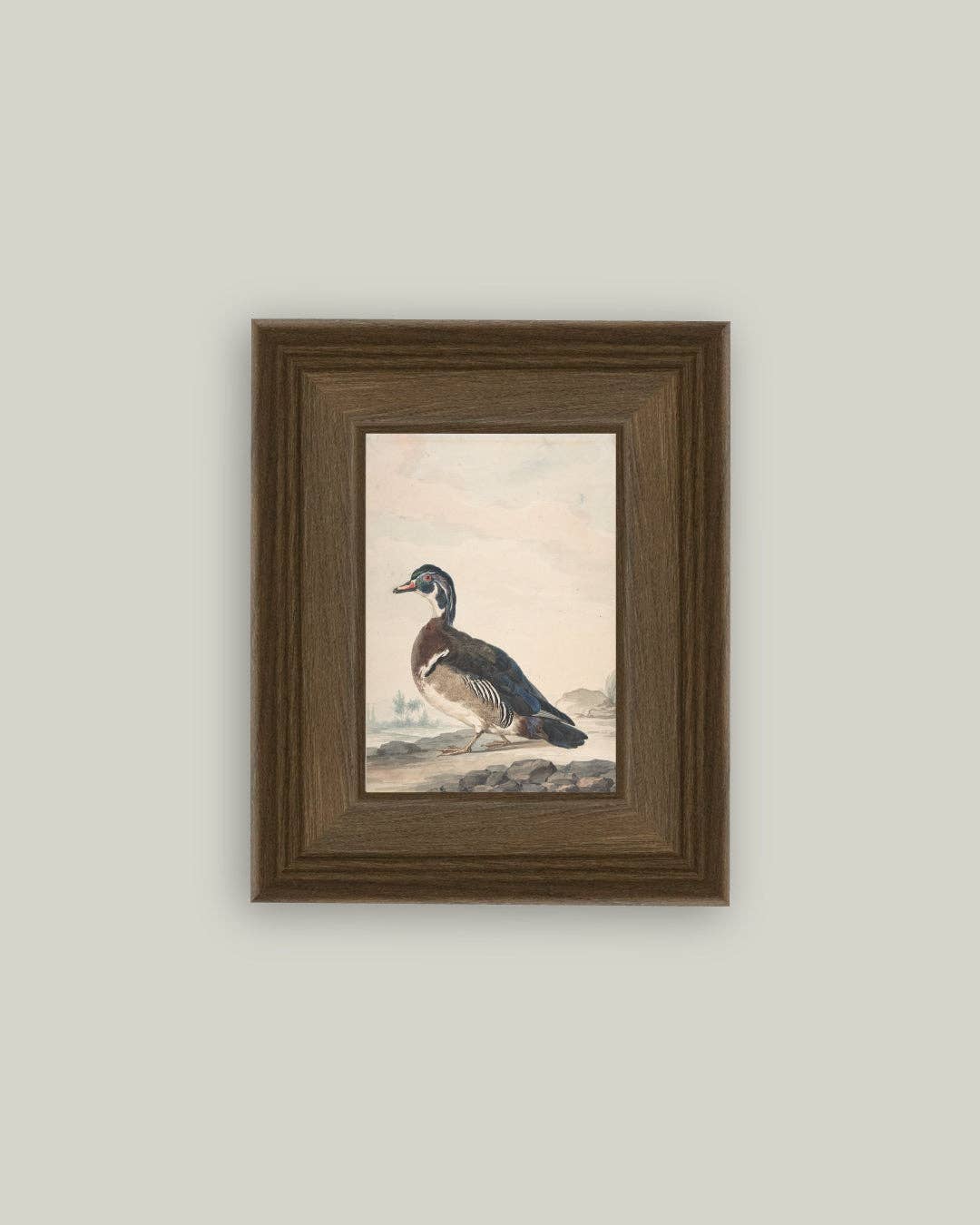 A Duck Framed Antique Art, Feathered Farmhouse