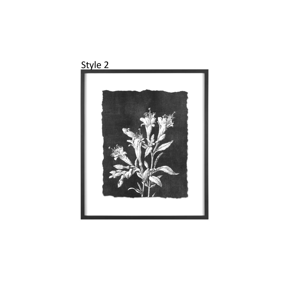 Botanical Print, Feathered Farmhouse