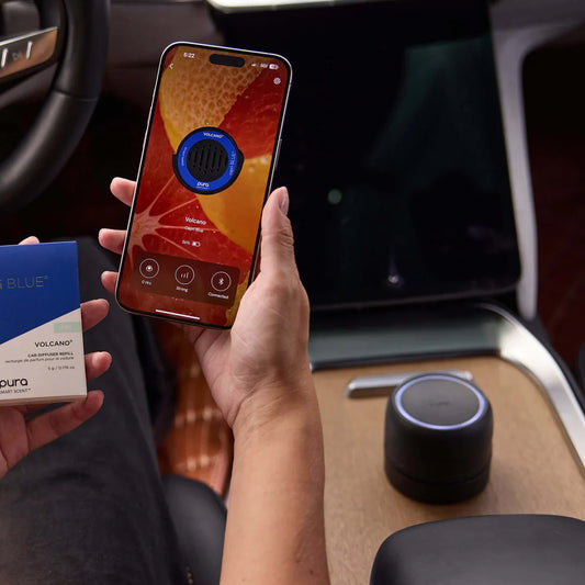 Pura Car Device