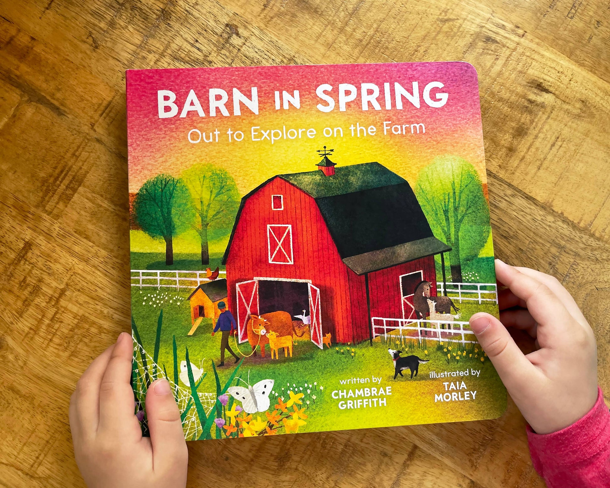 Barn in Spring: Out to Explore on the Farm Board Book, The Feathered Farmhouse