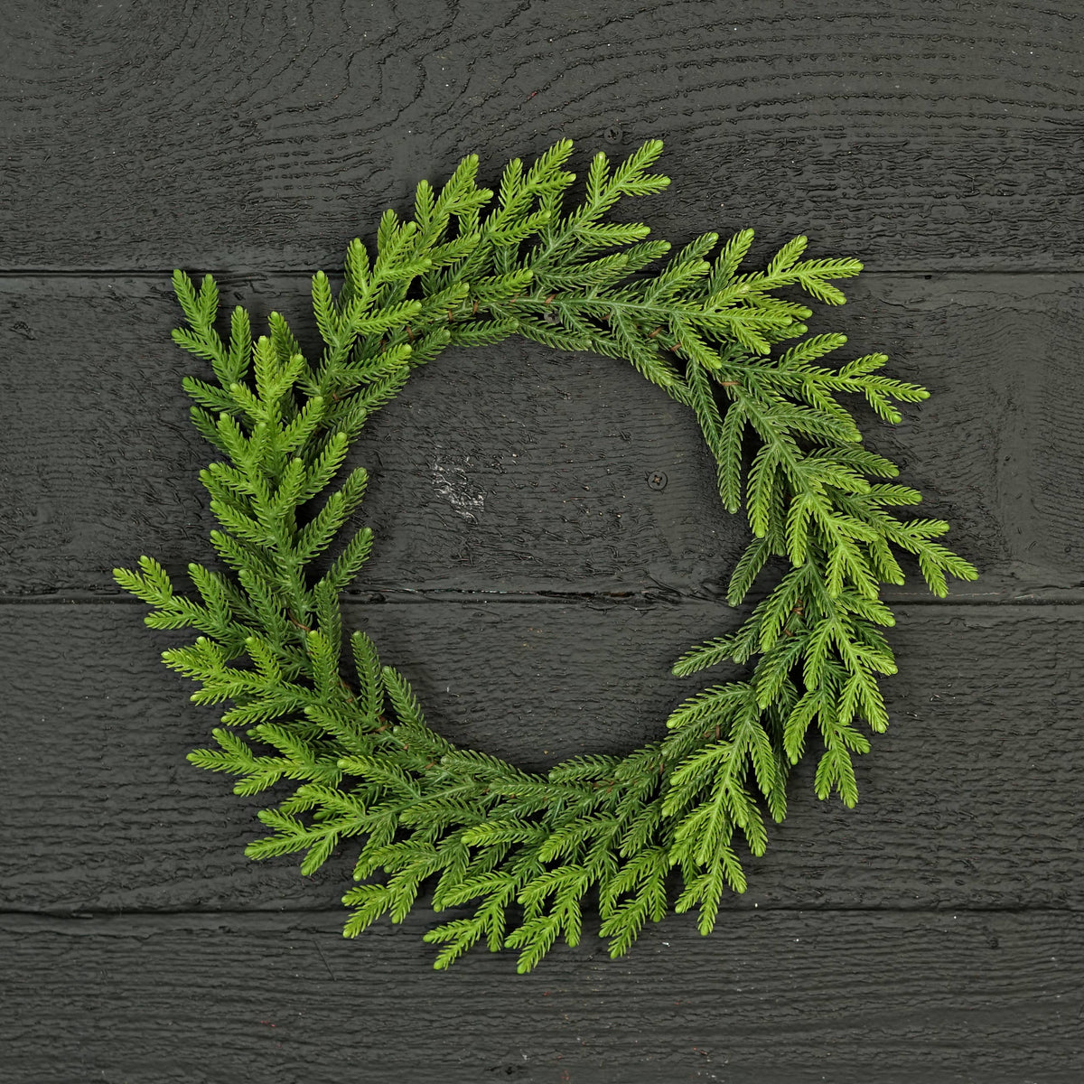 Evergreen Norfolk Pine Wreath, Feathered Farmhouse