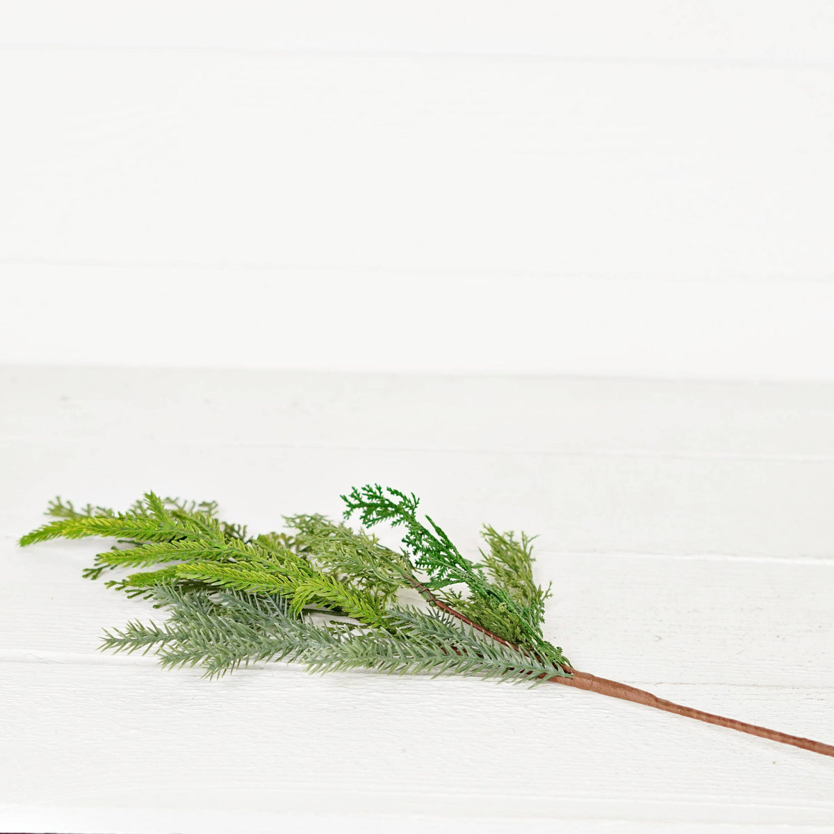 Cedar & Norfolk Pine Real Touch Stem, Feathered Farmhouse
