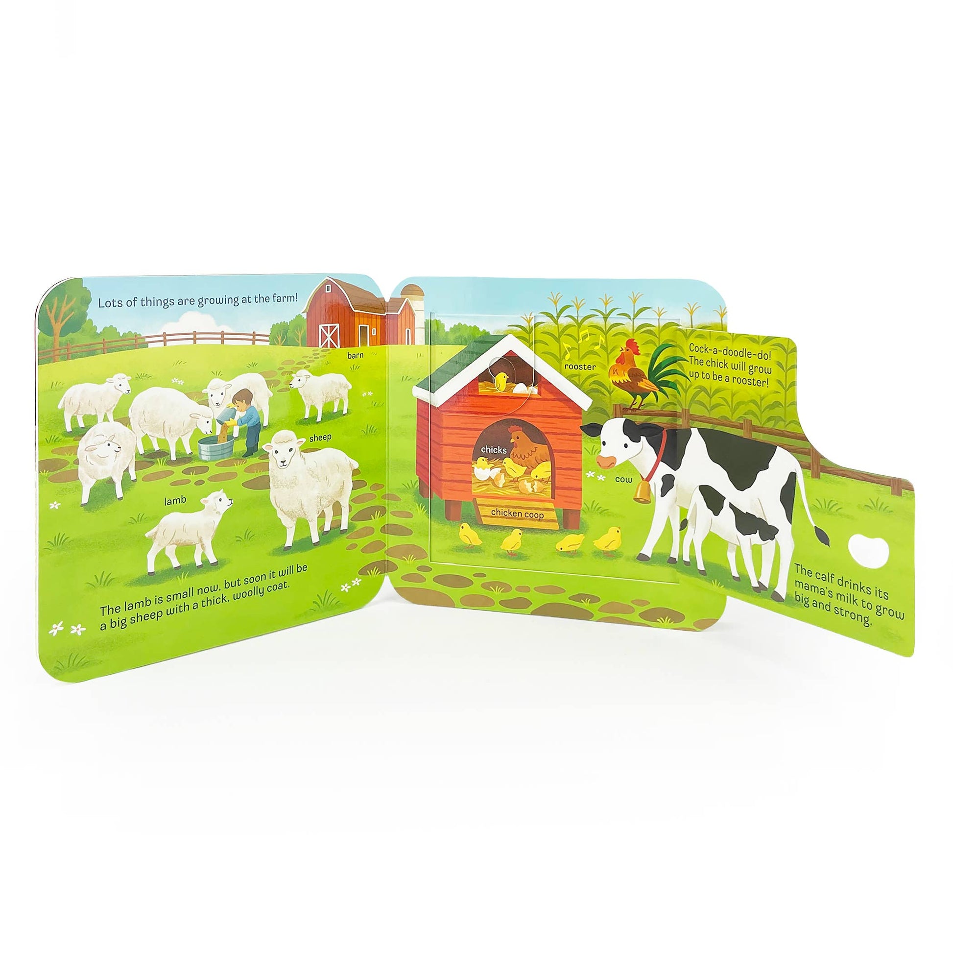 GROW Lift-a-Flap Board Book, Feathered Farmhouse