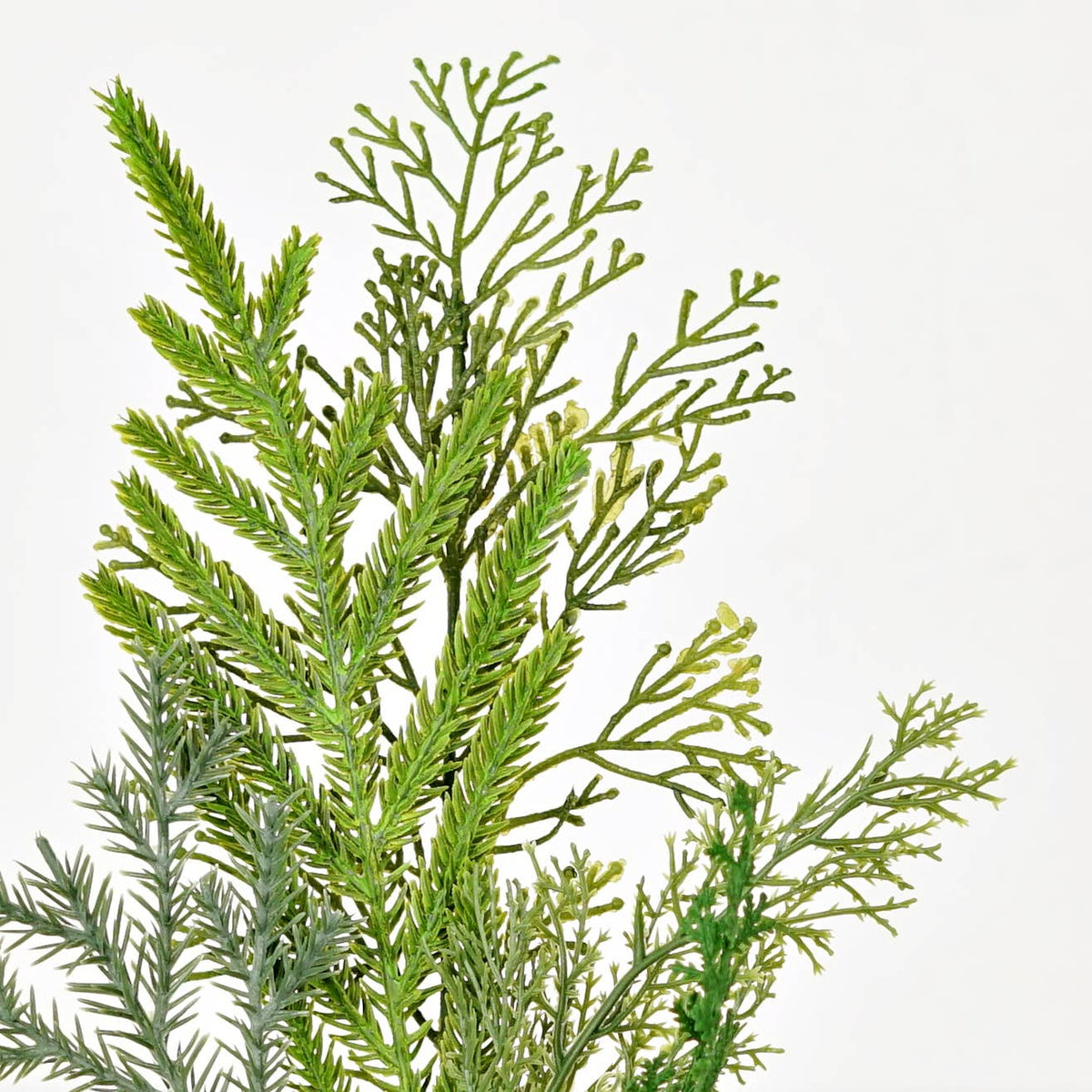 Cedar & Norfolk Pine Real Touch Stem, Feathered Farmhouse