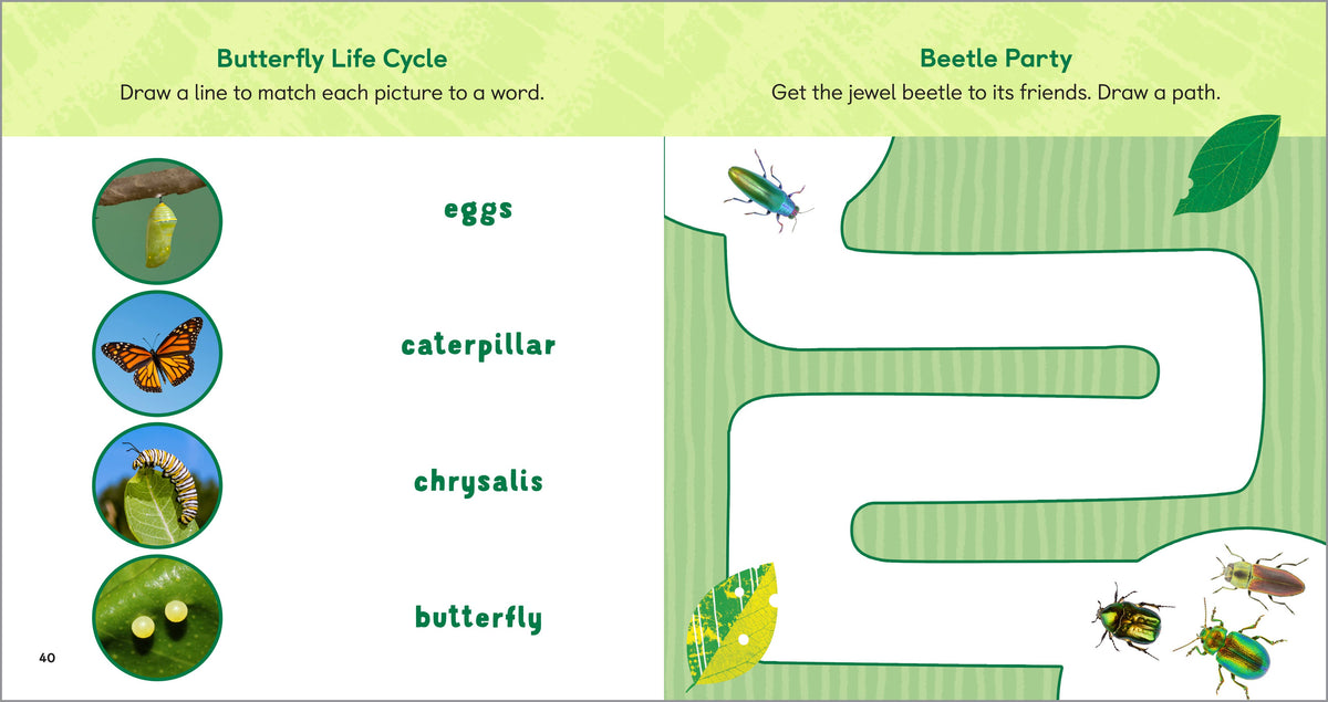 Backyard Bug Book for Kids, Feathered Farmhouse
