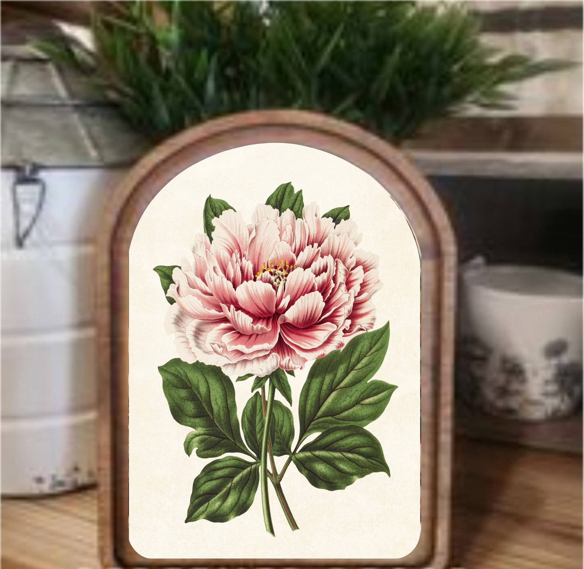 Vintage Peony Framed Art Arch Top, Feathered Farmhouse