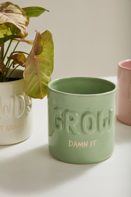 Plantism Pot, Feathered Farmhouse