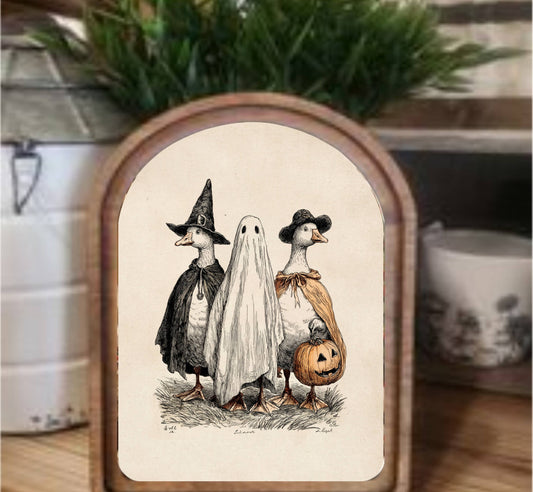 Halloween Geese Framed Arch Top, Feathered Farmhouse