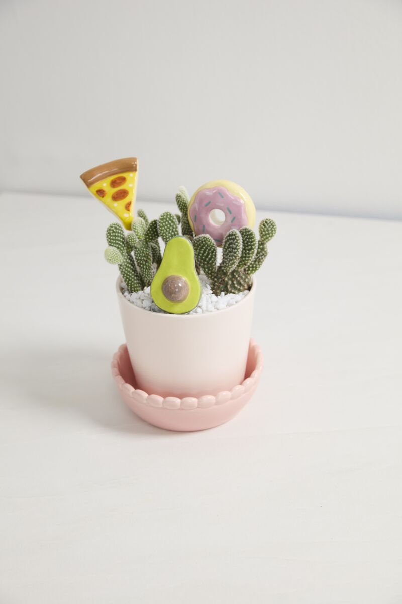 Yummy Plant Sticks, Feathered Farmhouse