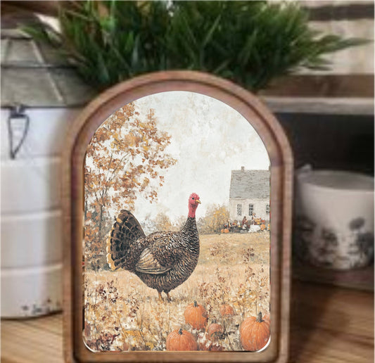 Thanksgiving Turkey Framed Art Arch Top, Feathered Farmhouse