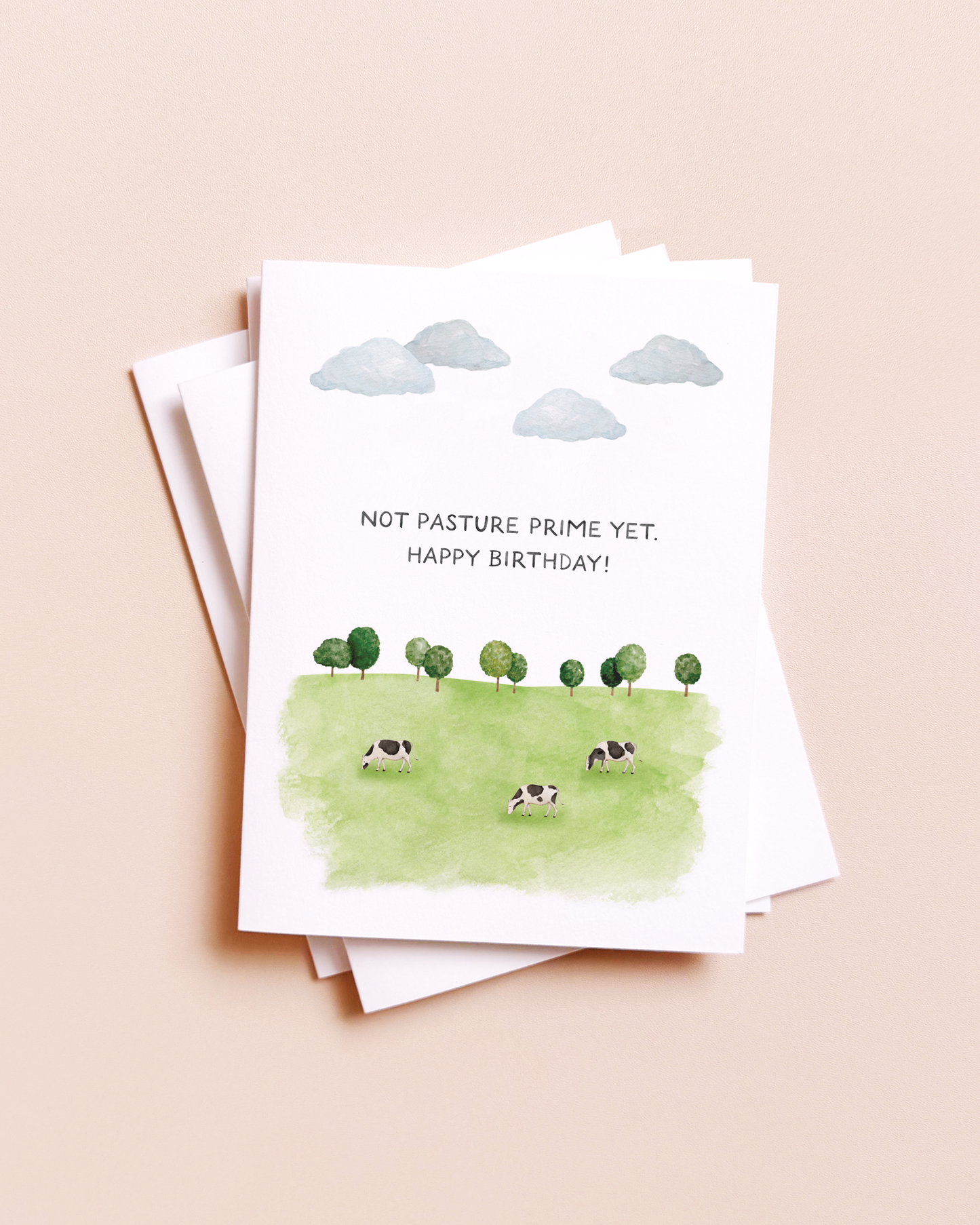 Not Past Your Prime Yet Birthday Card, Feathered Farmhouse