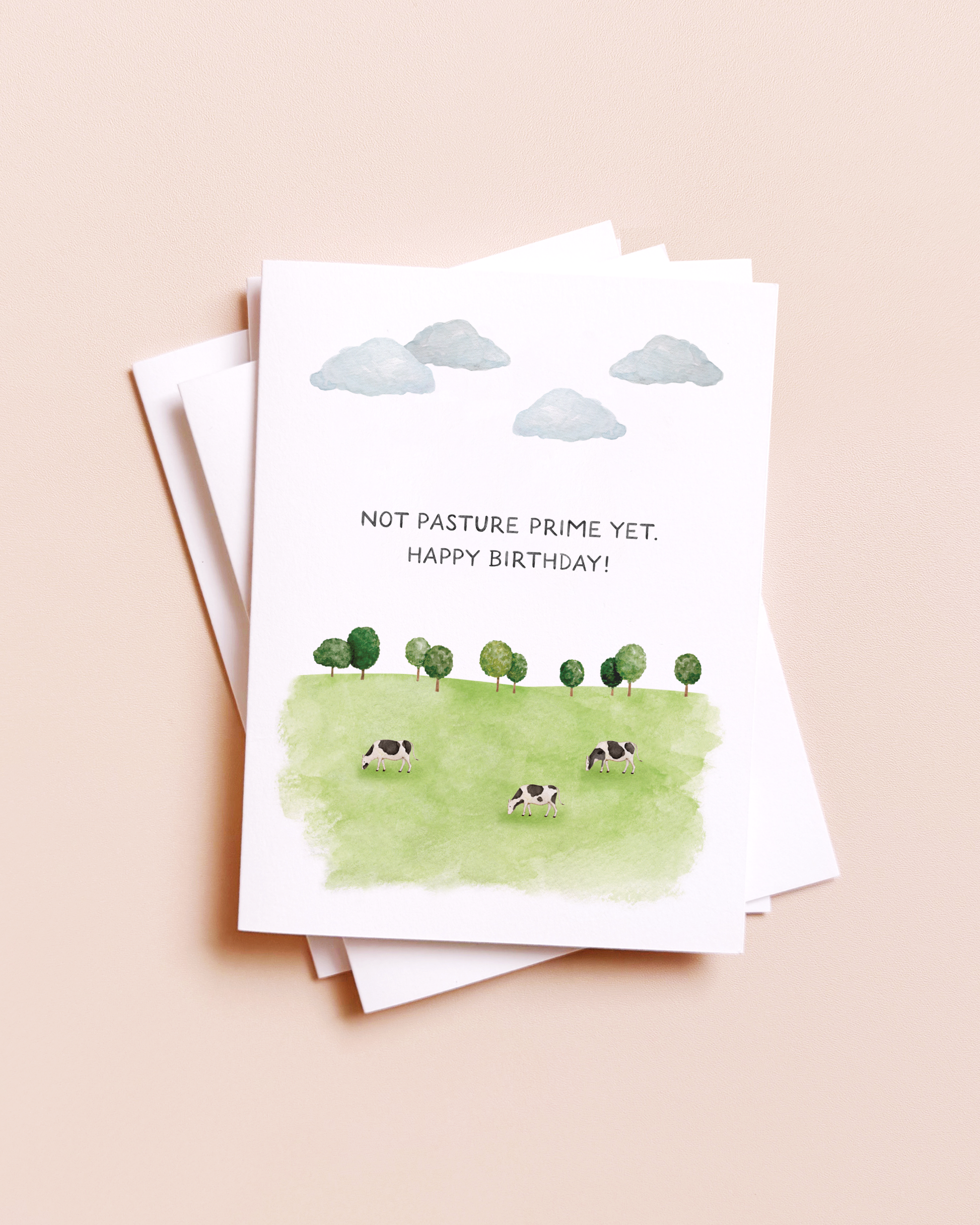 Not Past Your Prime Yet Birthday Card, Feathered Farmhouse