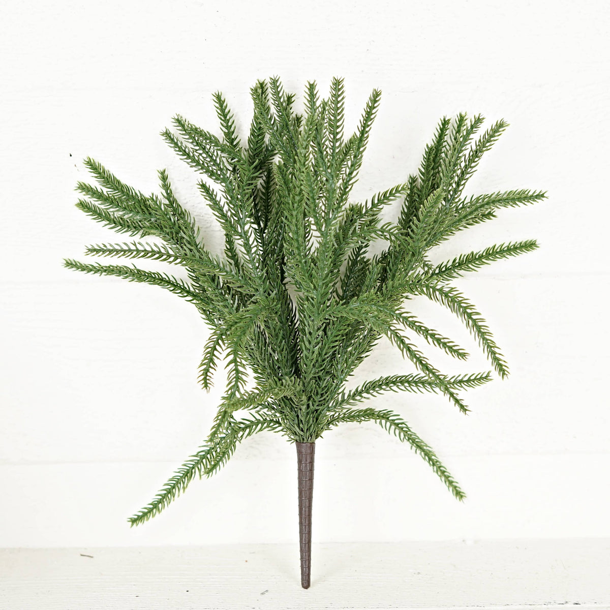 Norfolk Pine Soft Touch Stem, Feathered Farmhouse