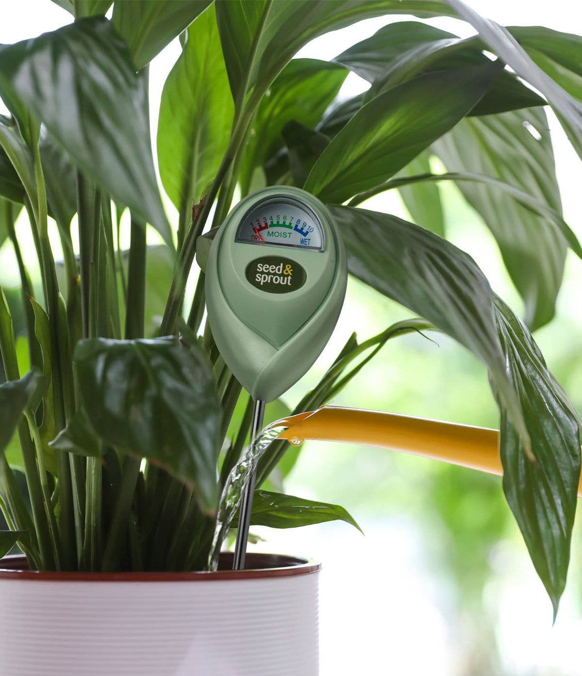Seed & Sprout Potted Plant Moisture Meter, Feathered Farmhouse