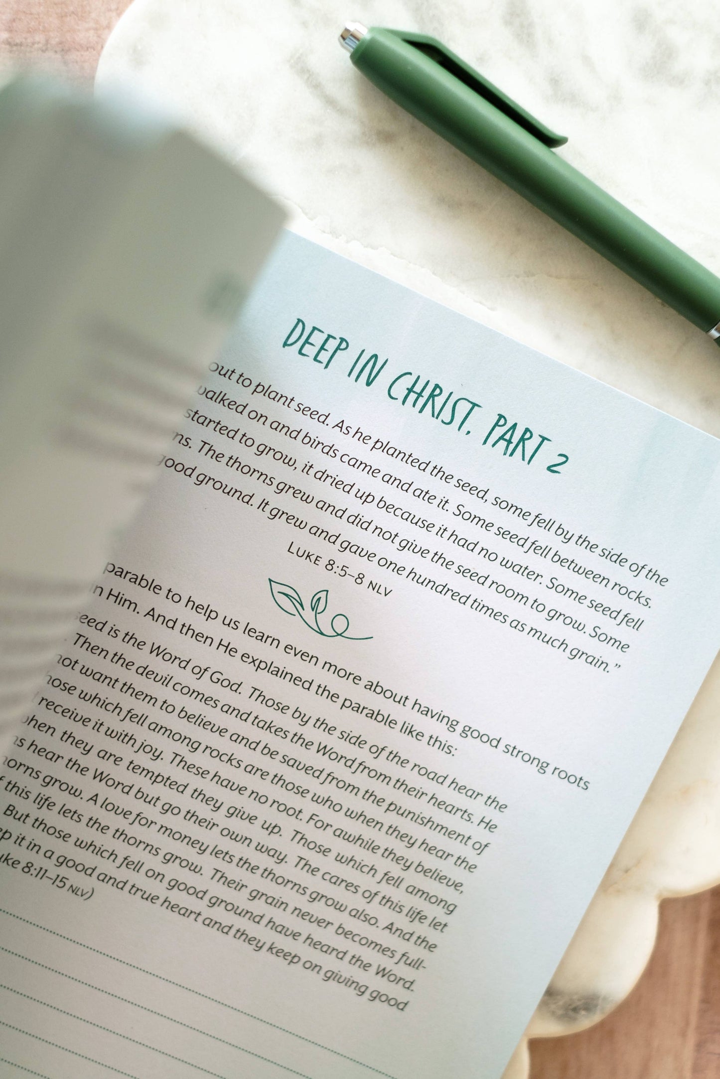 The Overthinker's Devotional Journal, Feathered Farmhouse