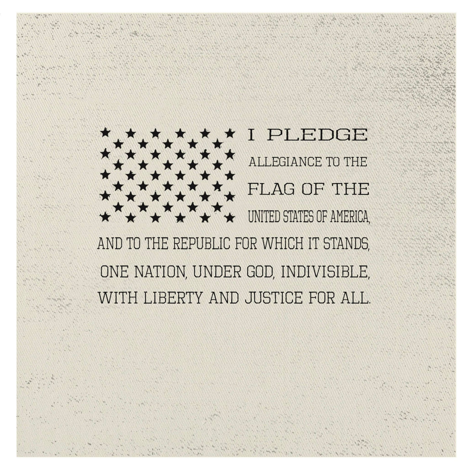 Pledge of Allegiance Mini Canvas, Feathered Farmhouse