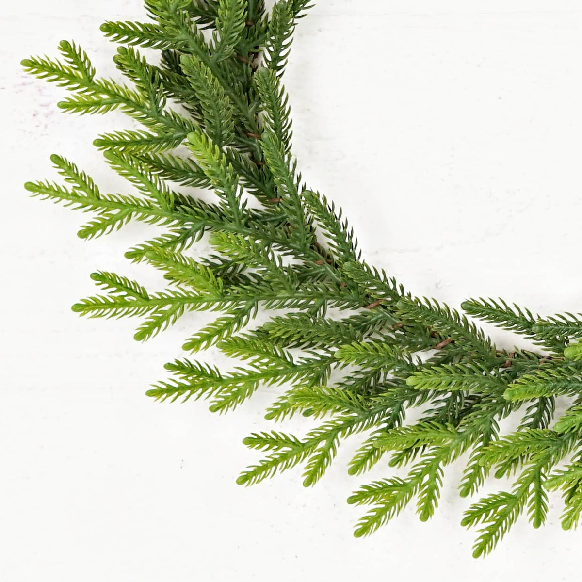 Evergreen Norfolk Pine Wreath, Feathered Farmhouse