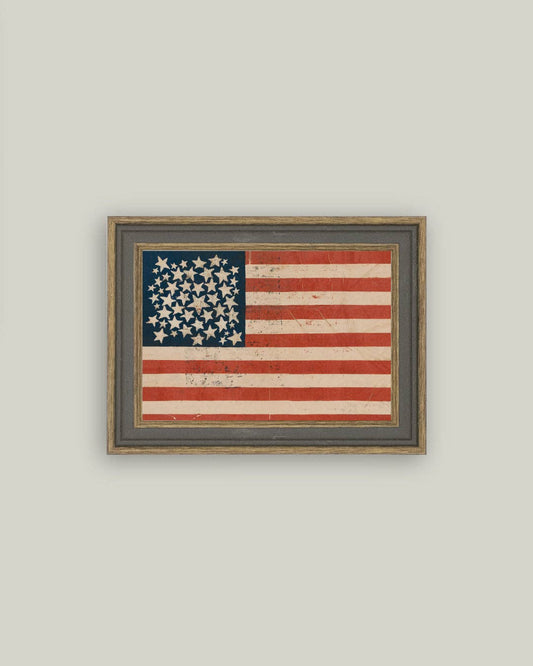 Rustic Flag Framed Antique Art, Feathered Farmhouse