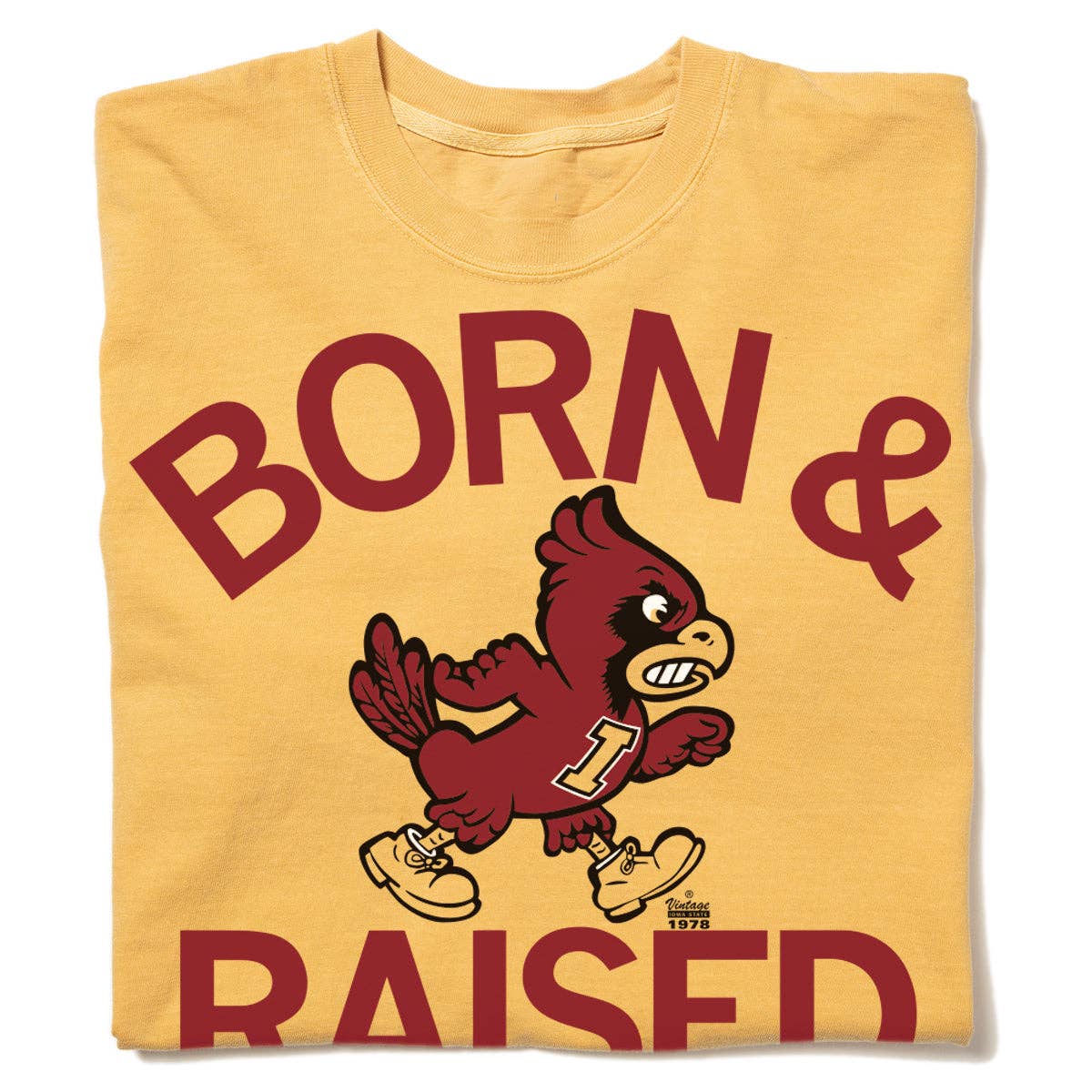 Cyclones Born & Raised, Feathered Farmhouse